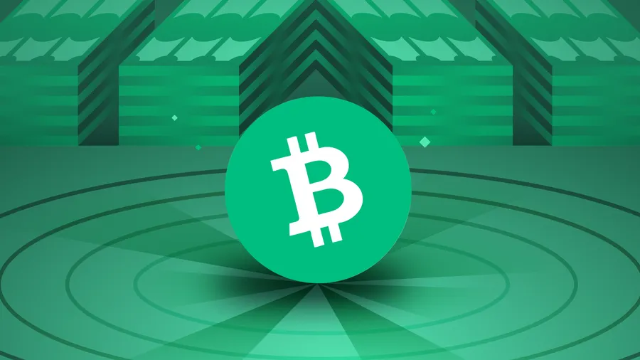 Bitcoin Cash: ثورة في عالم المدفوعات الرقمية اليومية