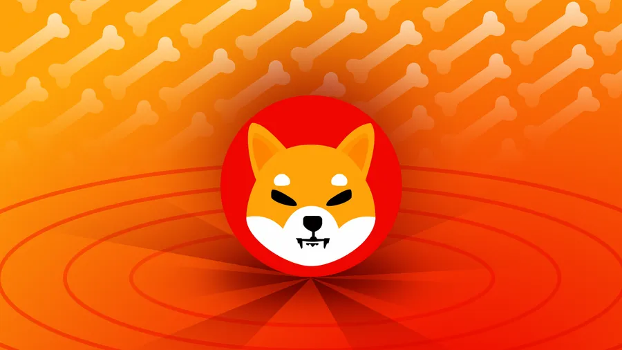 Shiba Inu: ظاهرة العملات الميمية التي أذهلت العالم